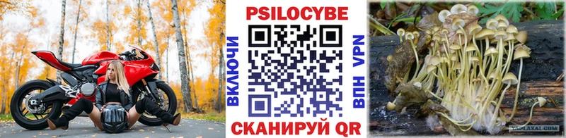 kraken   Касли  Псилоцибиновые грибы мухоморы 
