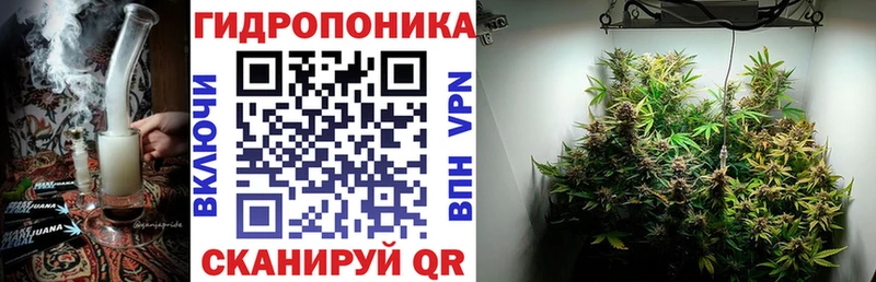 наркотики Касли Шишки марихуана Bruce Banner